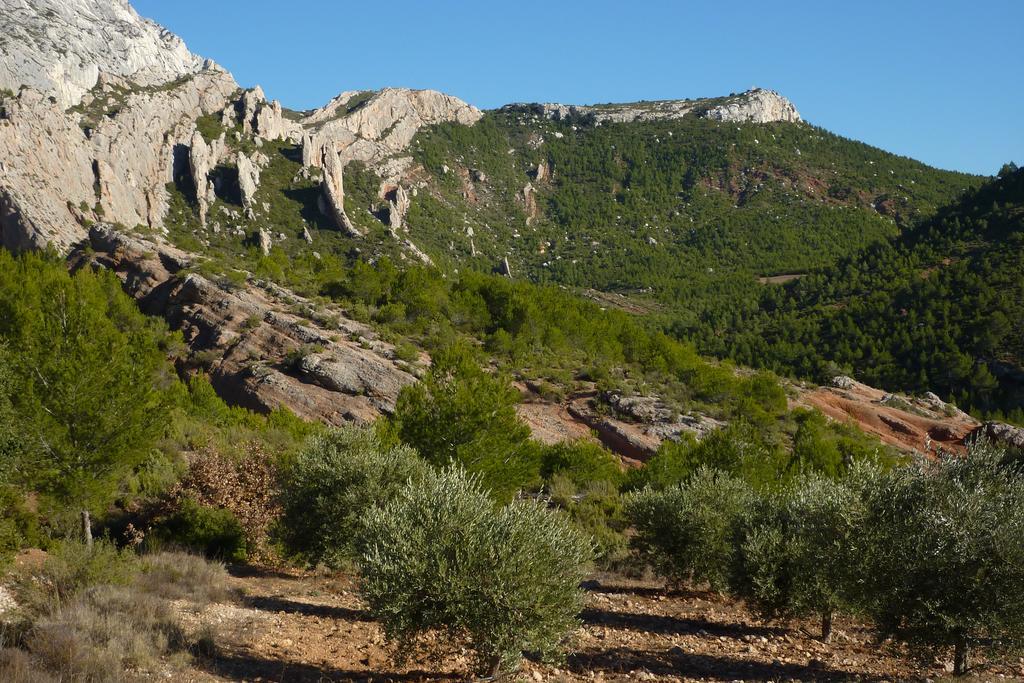 La Ferme Bed & Breakfast Saint-Marc-Jaumegarde Exterior foto